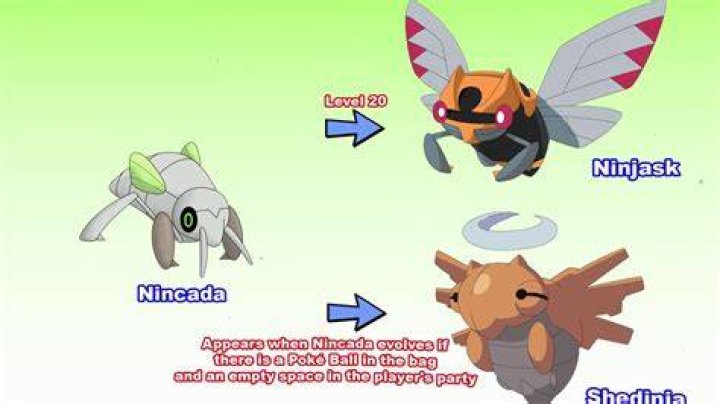 At what level does Nincada evolve?