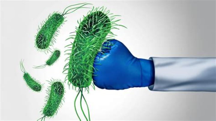 Can bacteria be killed by cold?