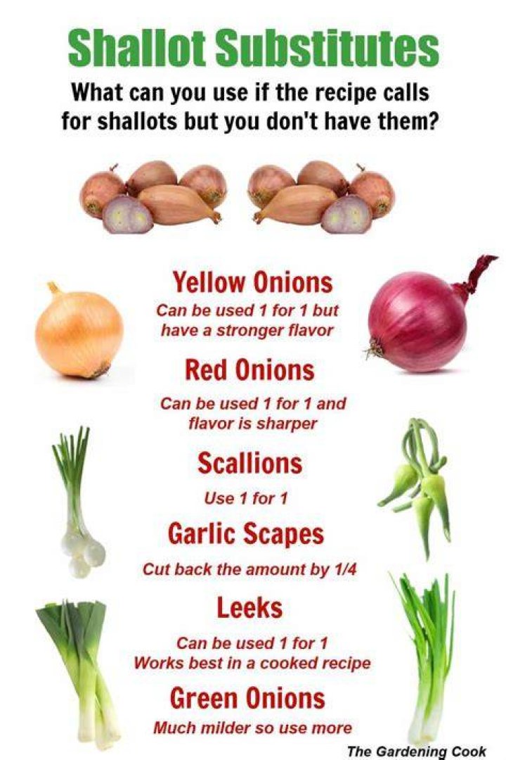 Can I substitute red onion for shallot?