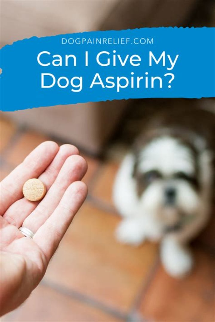 Can you give a dog baby aspirin for pain?