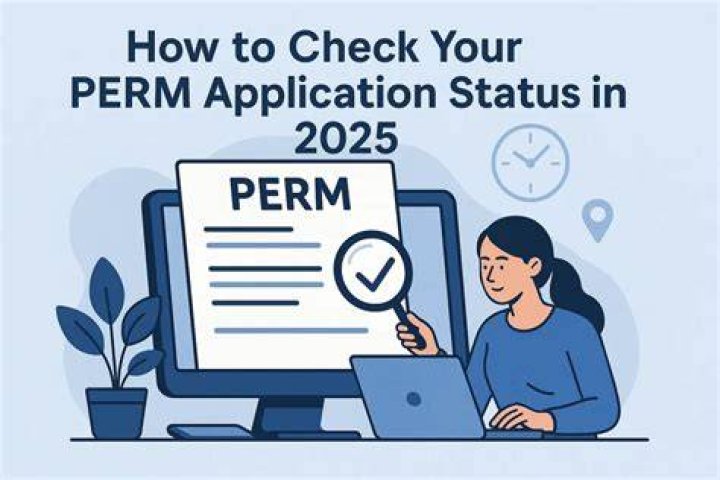 How can I check the status of my perm application?