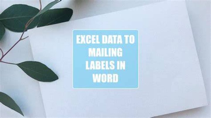 How do I convert mailing labels from Excel to Word?