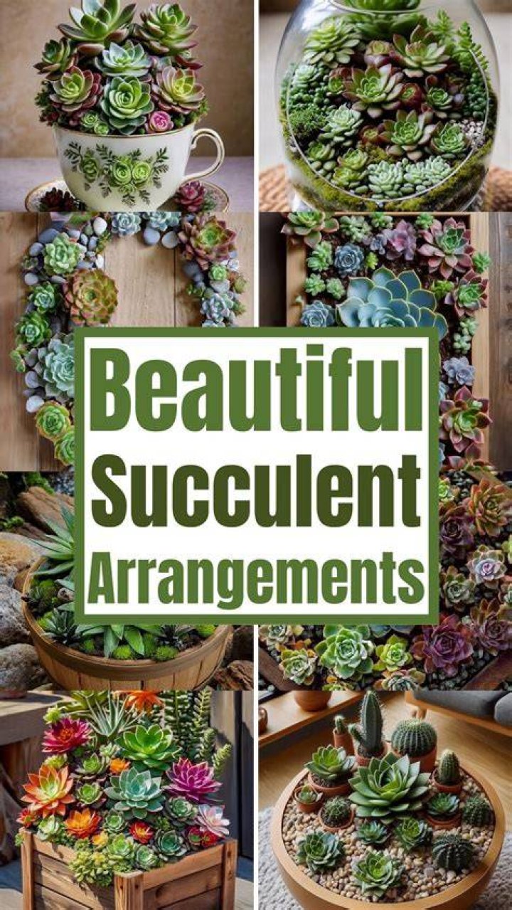 How do you ship succulent arrangements?