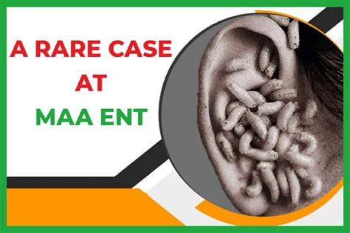 How does someone get maggots in their ear?
