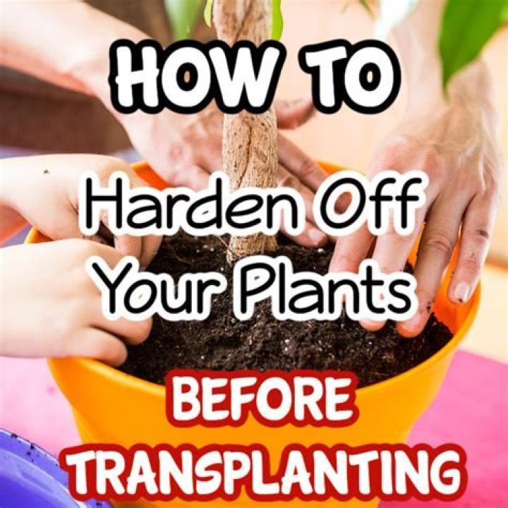 How long do plants need to harden off?
