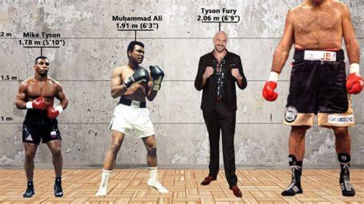 How tall are professional boxers?