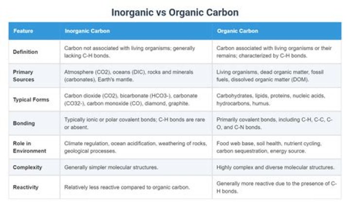 Is carbon dioxide organic? | ContextResponse.com