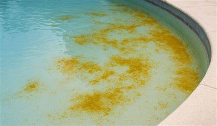 What causes pink algae in swimming pool?