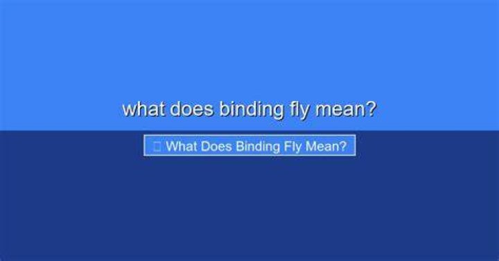What does binding fly mean?