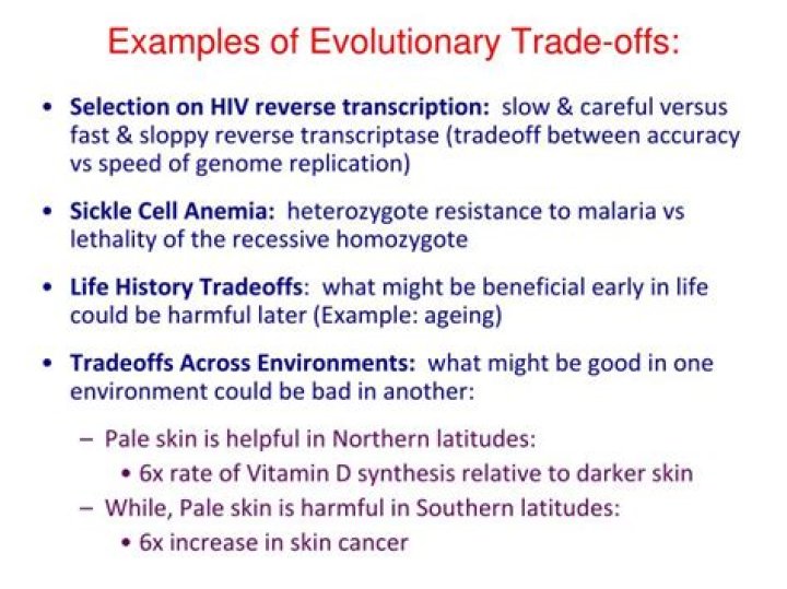 What is an evolutionary trade off?