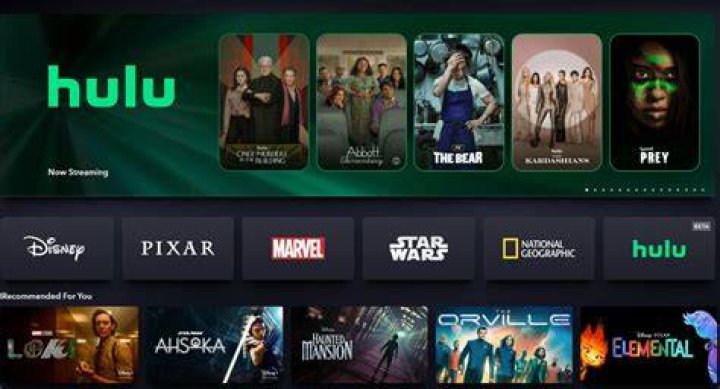 What is Hulu Plus premium?