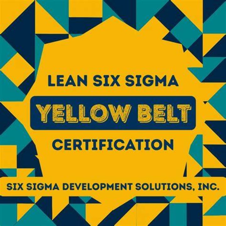 What is LSS yellow belt?