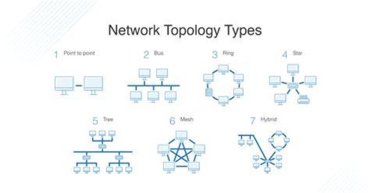 What is network and its topologies?