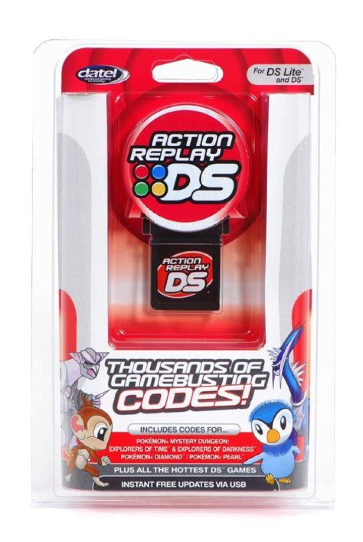 What is the action replay for DS?