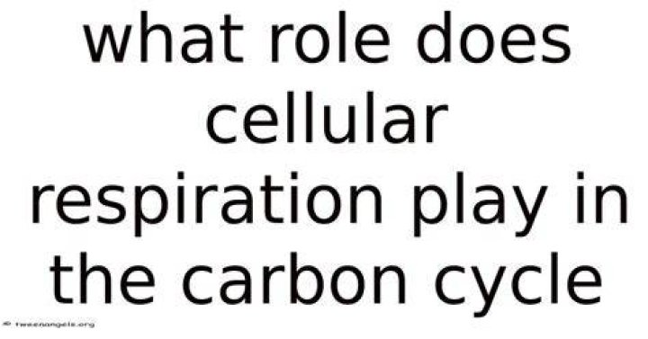 What is the role of respiration in ecosystems?