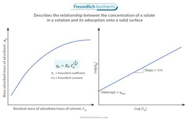 What is the value of 1 n in Freundlich adsorption isotherm?