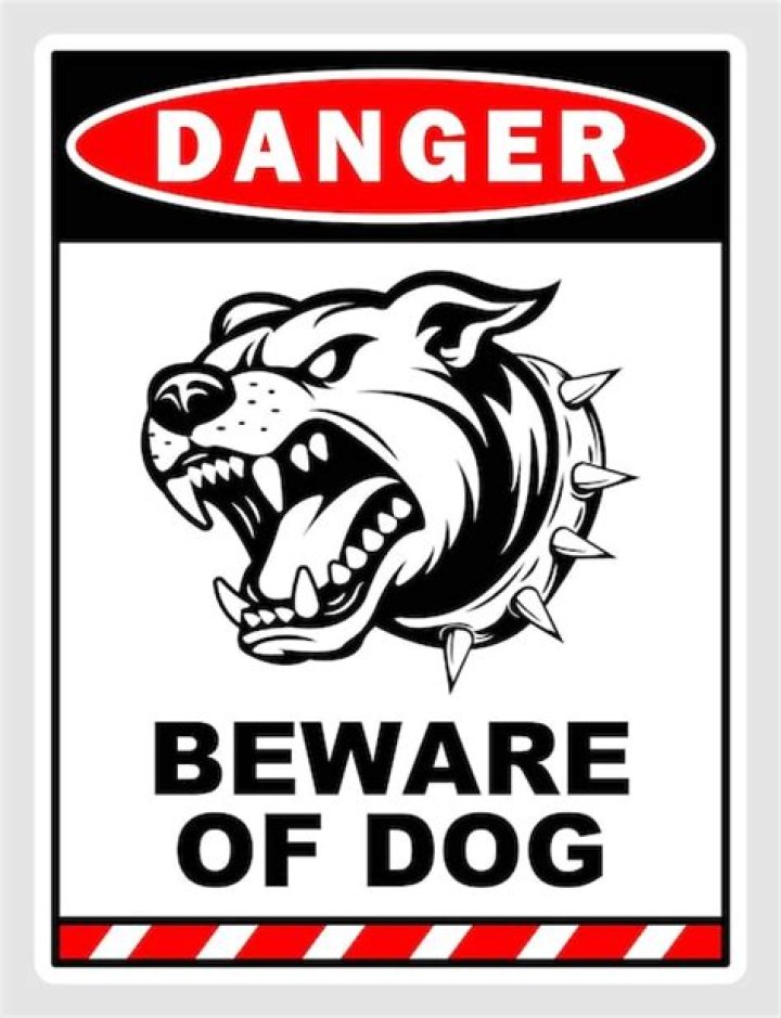 Who is the antagonist in Beware of the Dog?