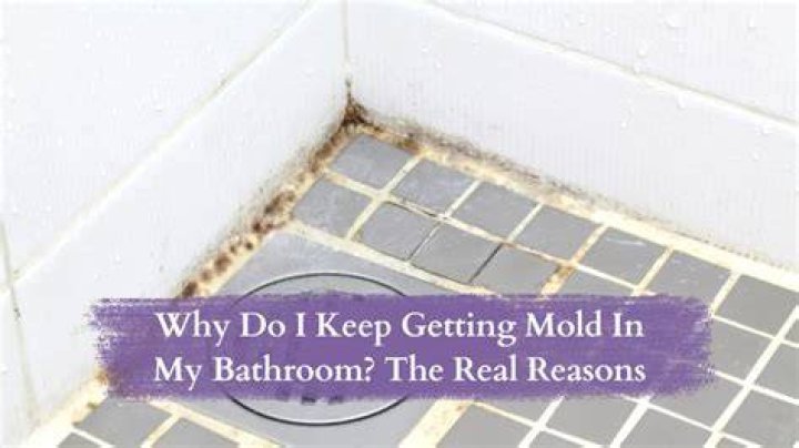 Why am I getting mold in my bathroom?